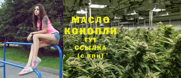 шишки Новодвинск
