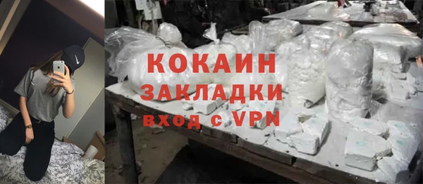 индика Абаза