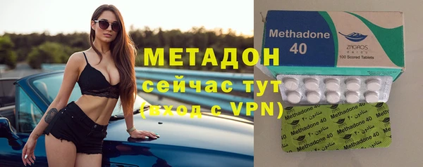 индика Абаза