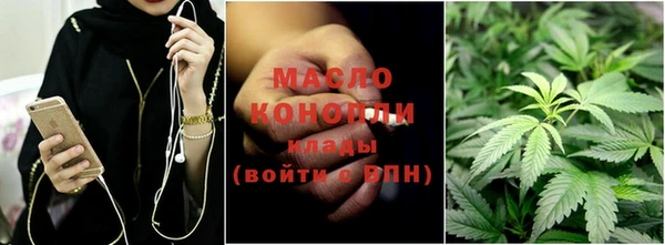 индика Абаза