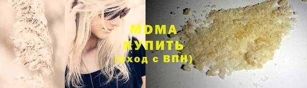 индика Абаза