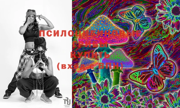 индика Абаза